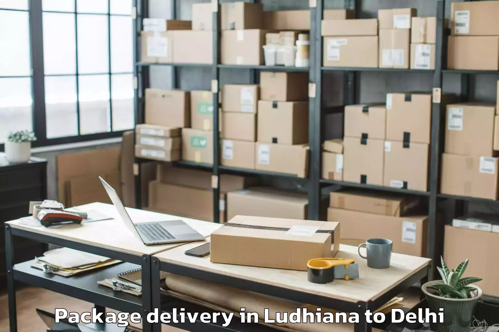 Top Ludhiana to Parsvnath Mall Inderlok Package Delivery Available